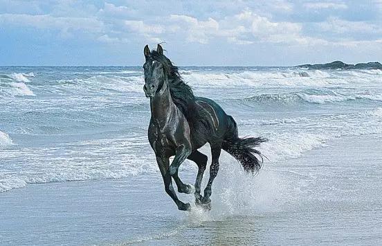 全球独一无二的车,全国独一无二的宝马轿车