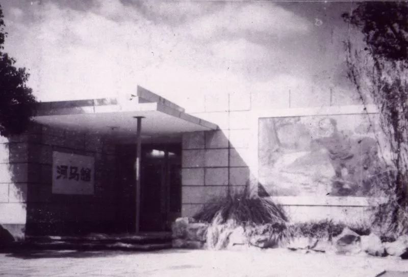 阿拉看宁波,阿拉看荷花