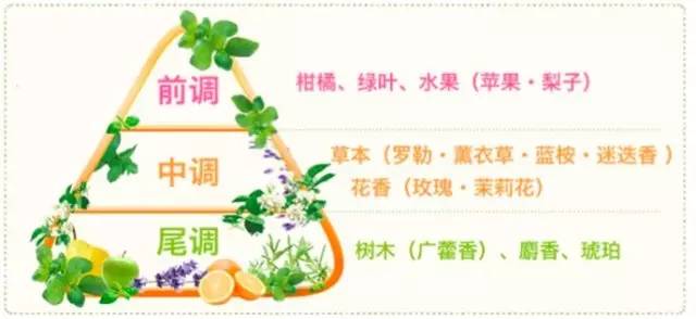 10款无硅洗发水排行榜儿童,十款常用无硅油洗发水分析与评价