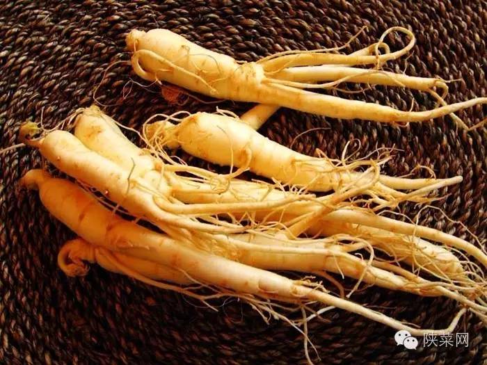 陕菜探秘团南山寨,陕菜探秘之旅乾县