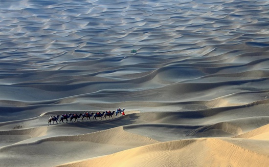 乌海要火啦！6.1日，齐秦、箫桐、德德玛、巫启贤、陈志朋、faye飞等众多明星齐聚乌海！