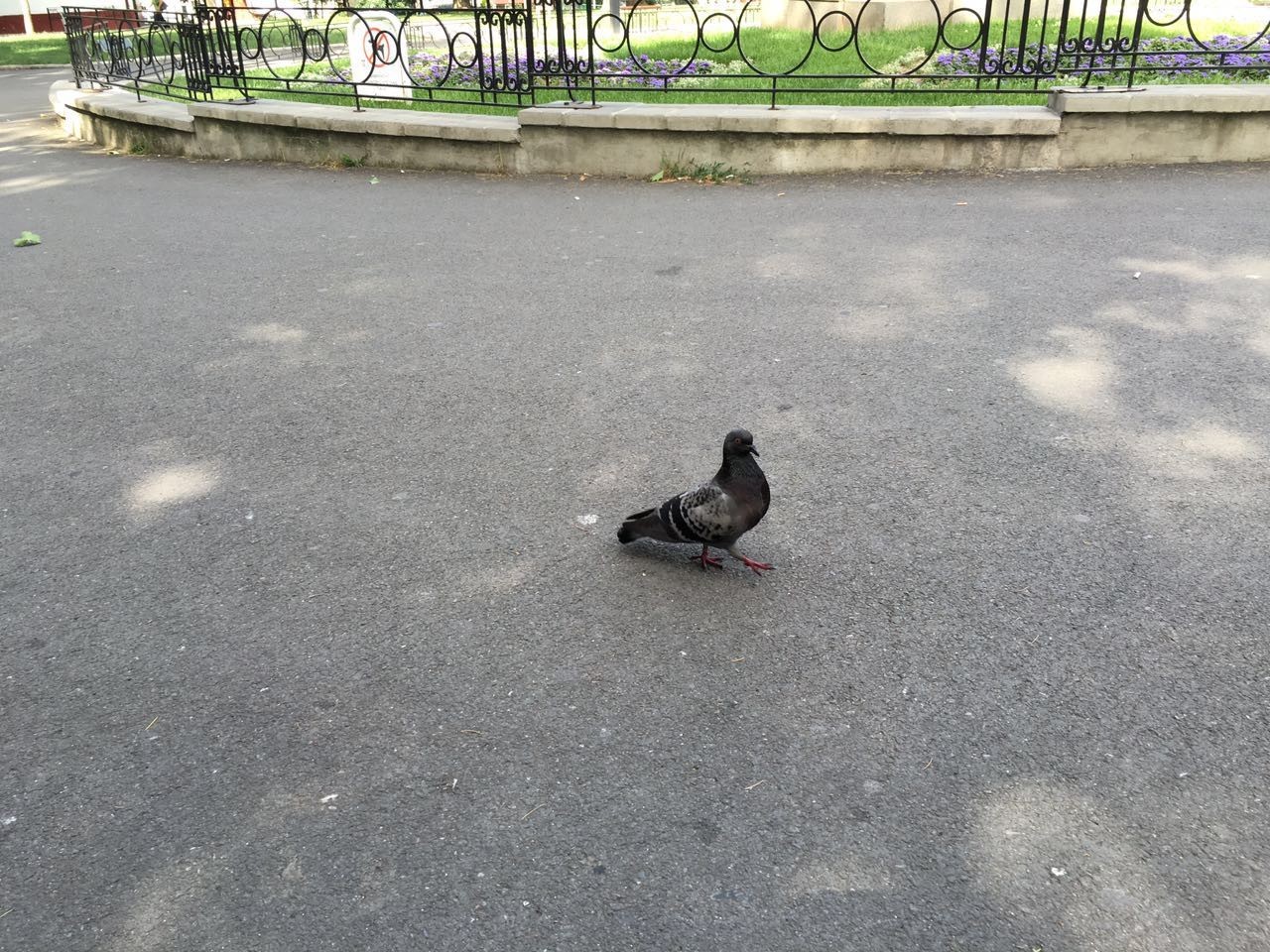 一座经历沧桑的城市,中国近代被战火摧毁的城市的影像