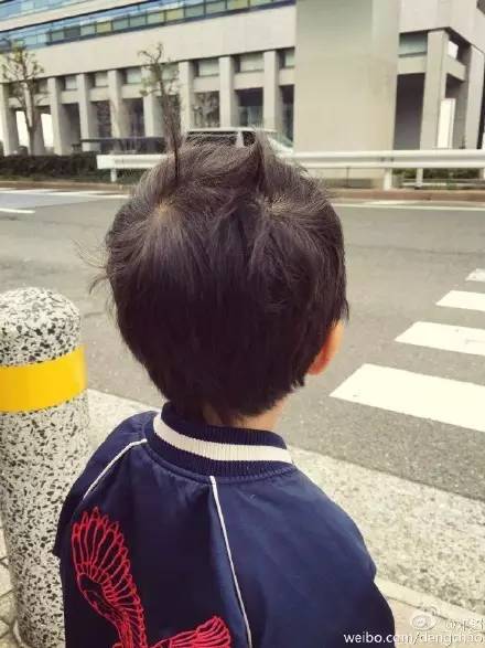 父亲节|这位逗逼，请问地上的“高冷男神”人设是你掉的吗？