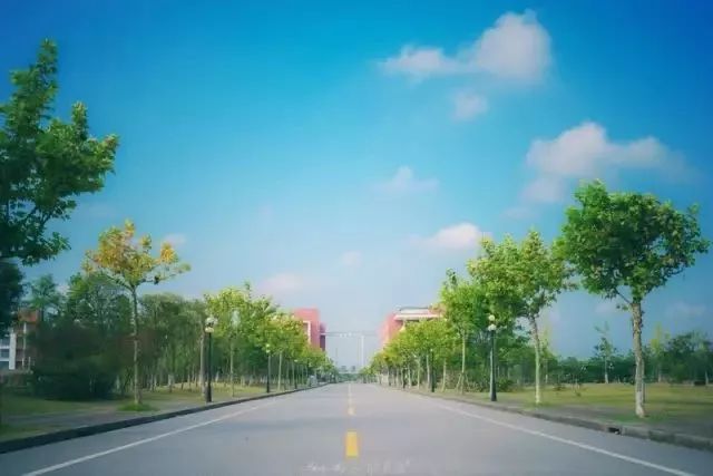 高校震撼美景,华东理工大学有什么好看的