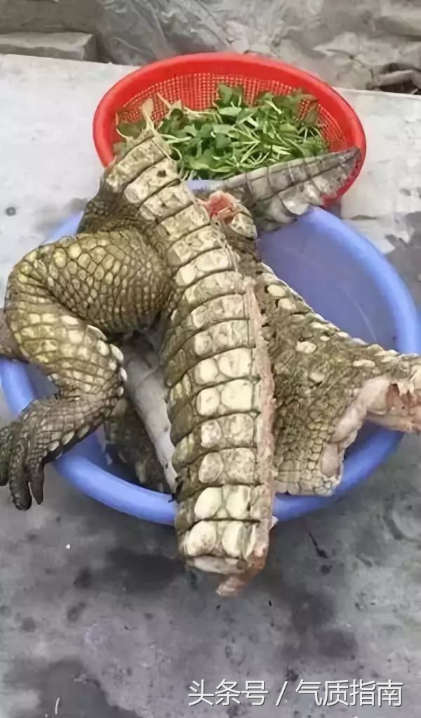 代购骗局朋友圈,朋友圈代购真实案例