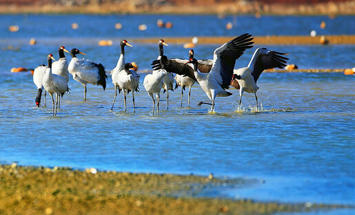 荣登纽约时报榜,贵州旅游必去top20