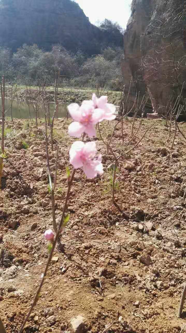 那些年你错过的片段,那些年你错过的夕阳