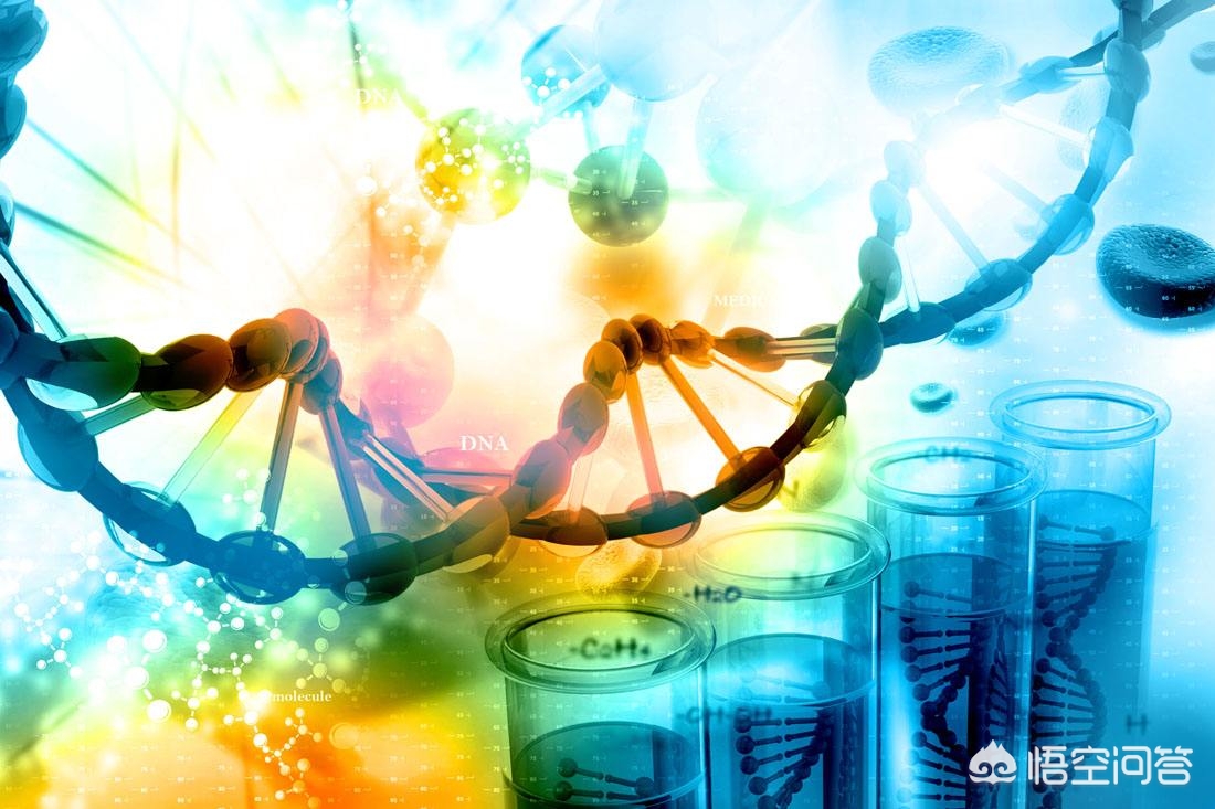 华大基因无创dna网上怎么查结果,华大基因无创dna检查有一项偏高