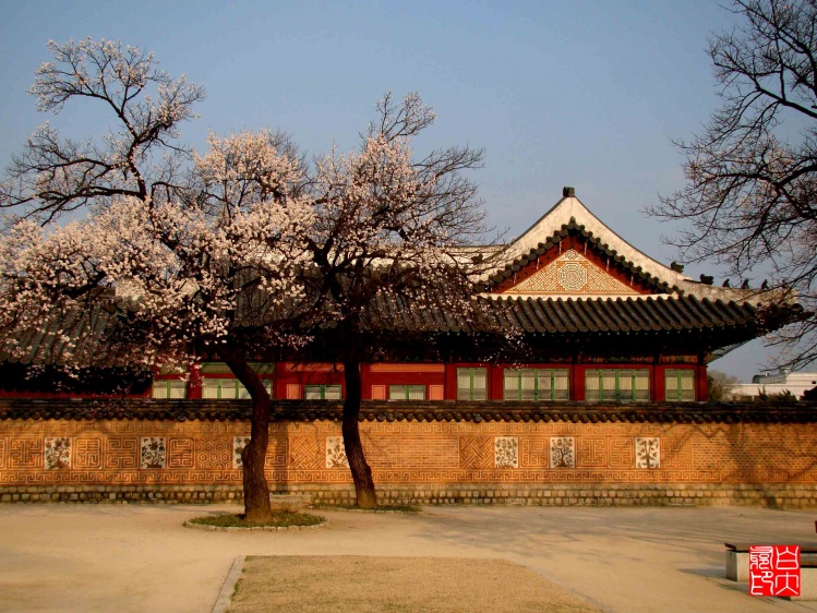 收藏|对不起我要去首尔high了！