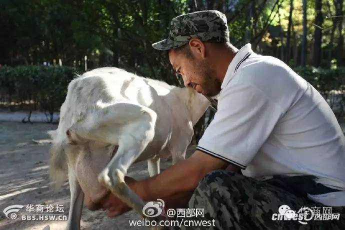 陕西西安女子被拖走后续,西安一女子骑车时手机被偷