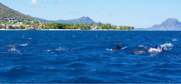 毛里求斯梦幻海岛行,毛里求斯海陆空旅游攻略