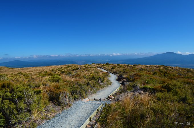 趁年轻我们一起去旅行吧,趁年轻我们一起去旅行