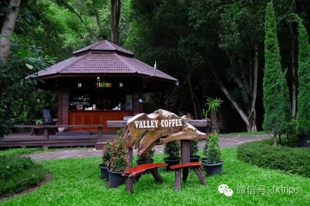 清迈丨宁可错过人妖秀，不可错过下午茶！