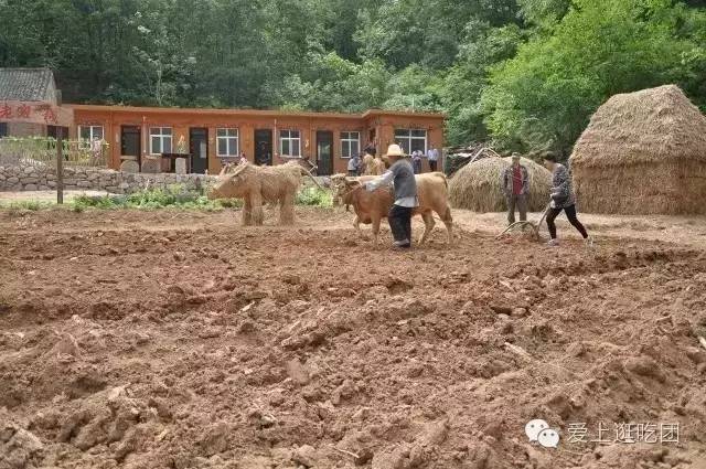 尧山墨子古街畅玩通票,尧山墨子古街有什么玩的