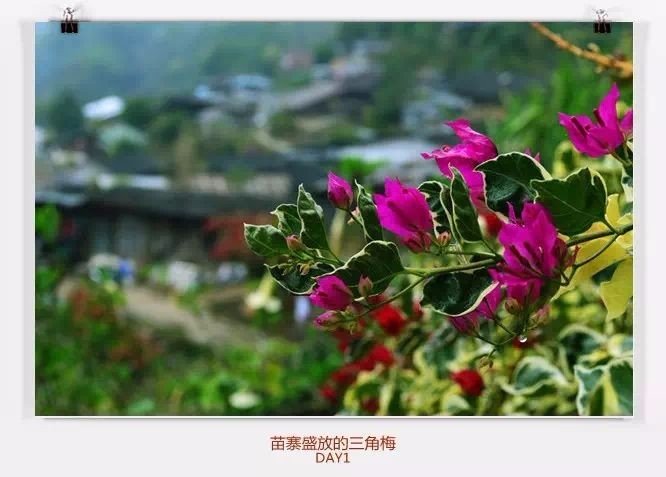 清迈住宿攻略清迈自由行,在清迈