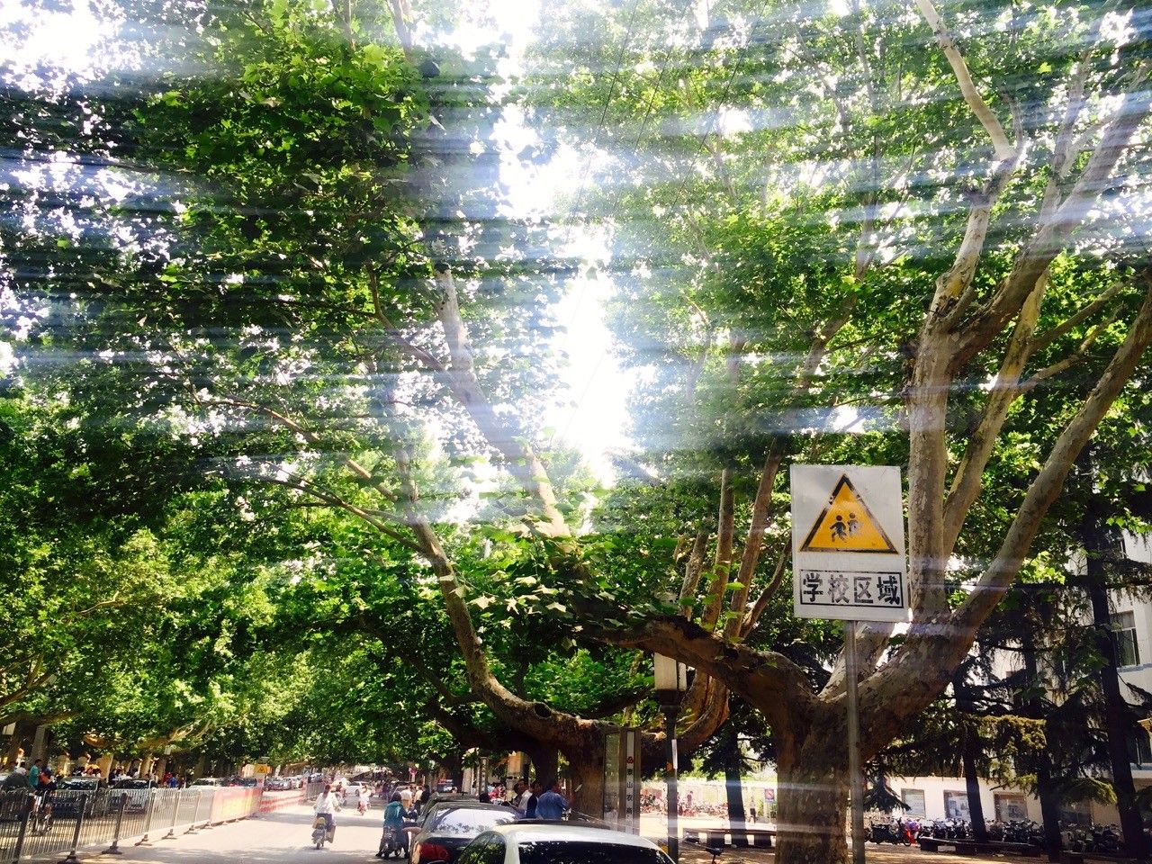 路牌带我抵达这里，而不是谷歌、百度、高德地图｜群分享