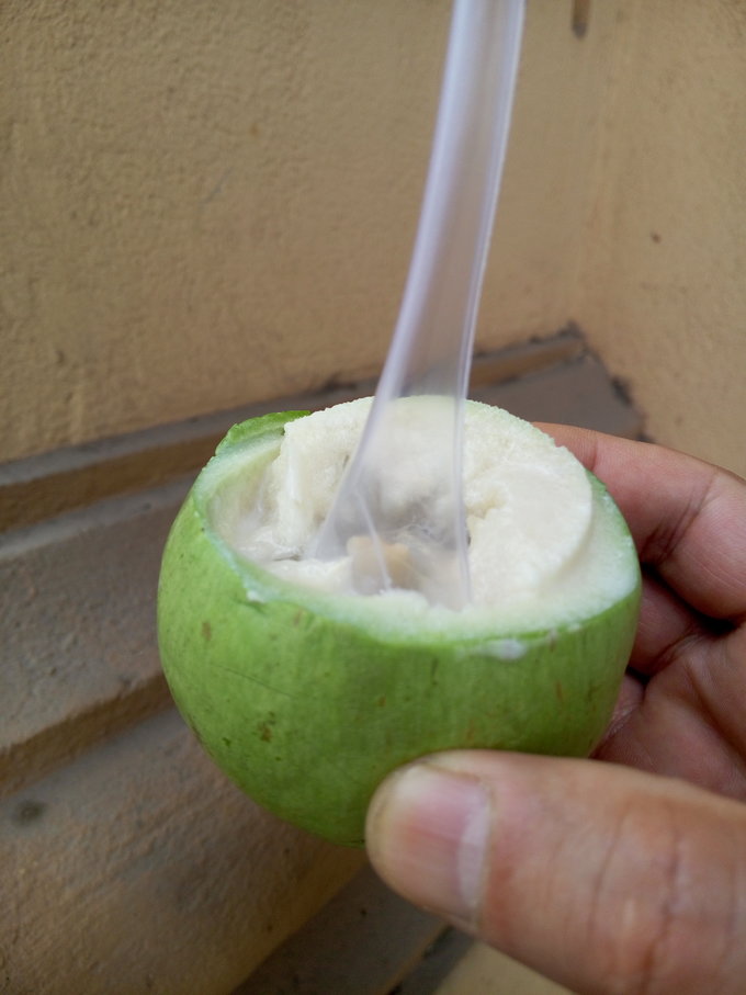 跟团从南宁到北海,越南北海跟团游