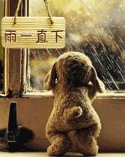 台风临沂暴雨红色预警,山东临沂发布暴雨大风预警