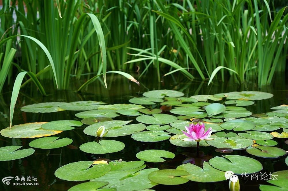 西安市高新区视频,西安高新区全貌视频