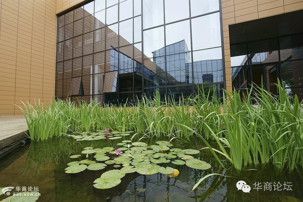 西安市高新区视频,西安高新区全貌视频