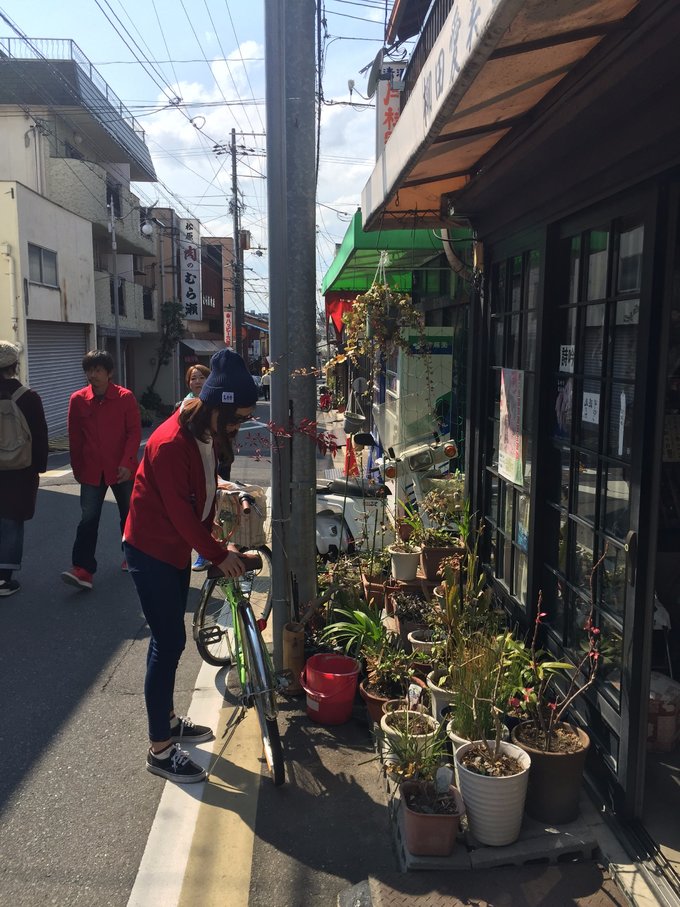 16年，关西（大阪，奈良，京都，宇治）樱花，甲子园