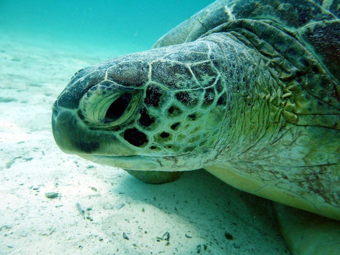 马尔代夫莉莉岛适合几月份去,马尔代夫莉莉岛旅游攻略