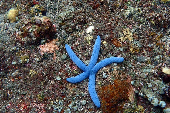 马尔代夫莉莉岛适合几月份去,马尔代夫莉莉岛旅游攻略