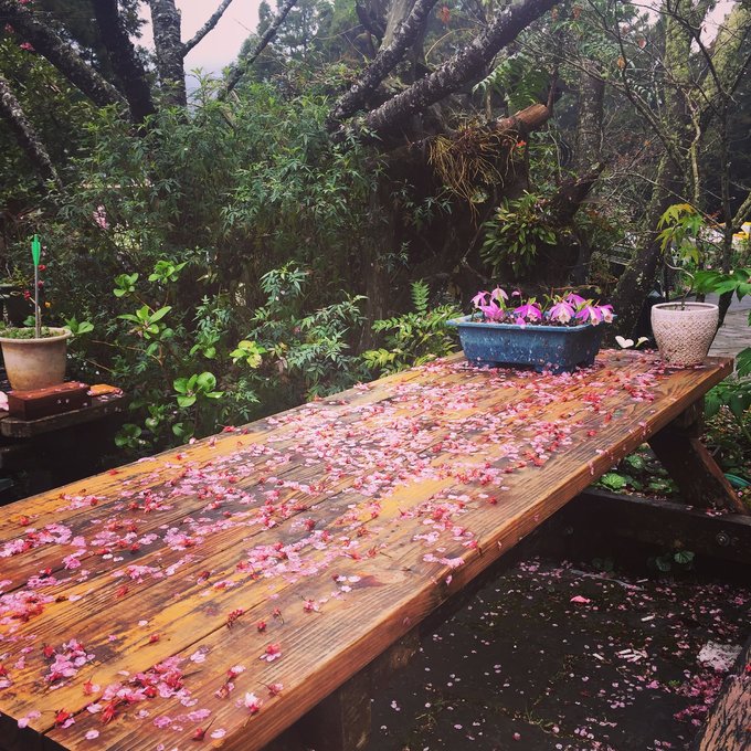 老爸追梦之旅,父亲的圆梦之旅