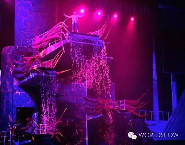 最惊艳的鸟巢,鸟巢吸引鸟的视频