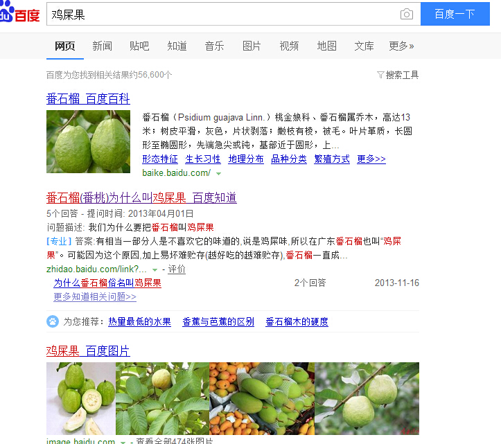 鸡屎果和番石榴叶有什么好处,鸡屎果和番石榴芭乐一样吗