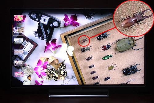 海尔高端电视55寸哪款好,海尔电视机高端55寸