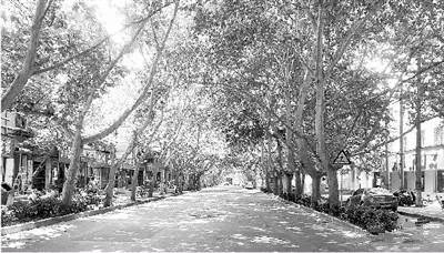 郑州西郊方秀华胡辣汤,胡辣汤的好听名字