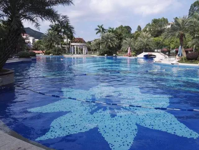 夏天就应该浪起来,夏天就是要浪起来