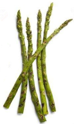 美式碳烤教程,正宗日式碳烤