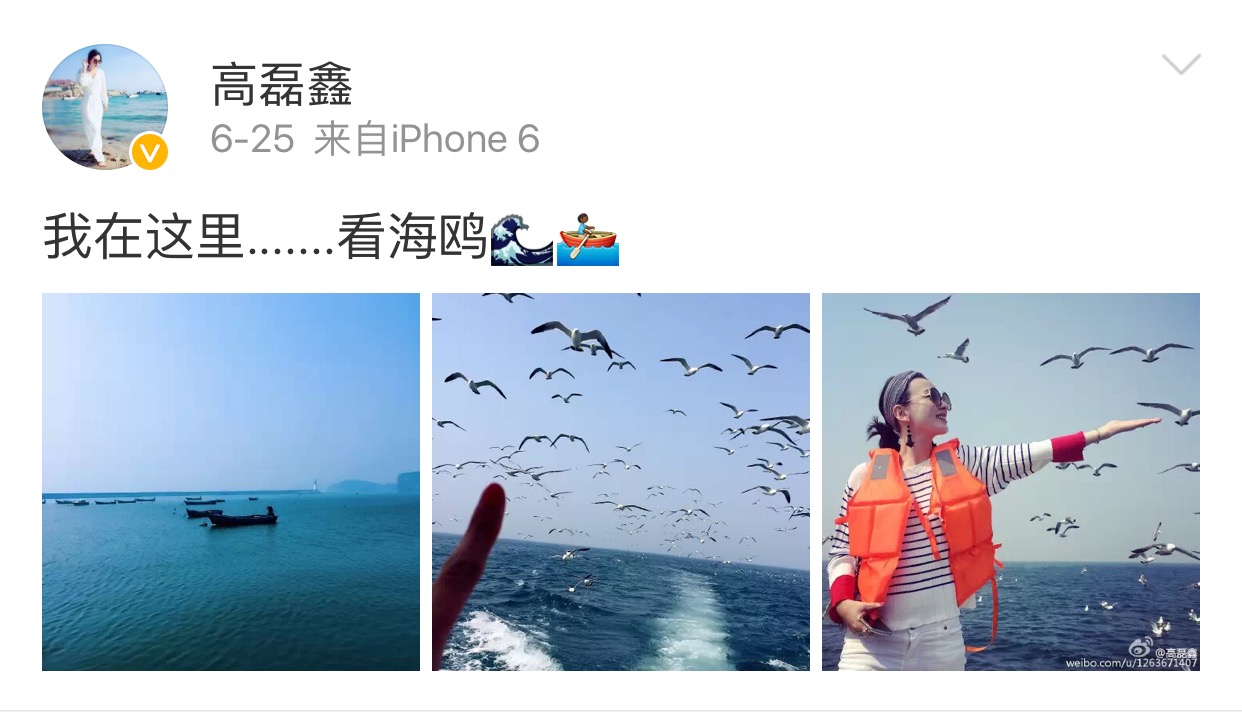 薛之谦与高磊鑫婚姻的总结,薛之谦复合前妻高磊鑫