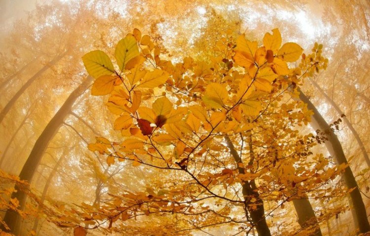 去世的人真的有托梦这种说法吗,人死后托梦是真的存在吗