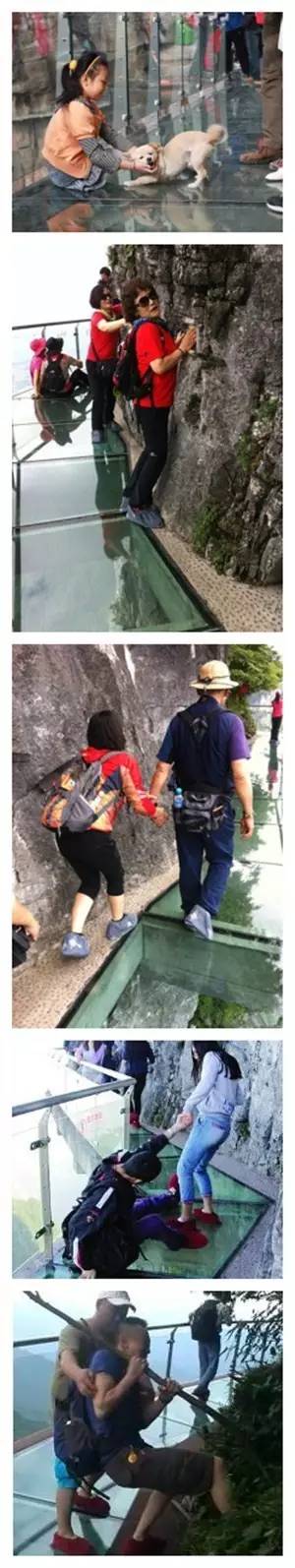 “治疗恐高症”一招致胜的办法?!