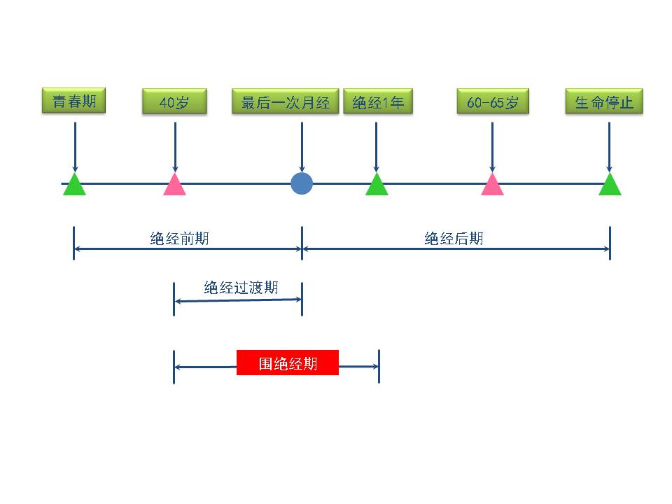 更年期保健课堂,如何度过更年期讲座