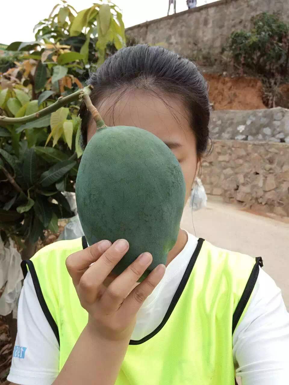 攀枝花料理,攀枝花最好吃的料理