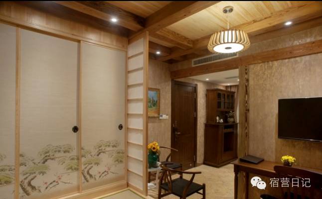 没去青岛也能看到海鸥,没去青岛的人对这个城市的印象