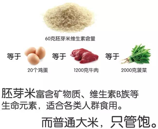 脚气病患者福利来啦！日本人为什么吃胚芽米？原因在这！