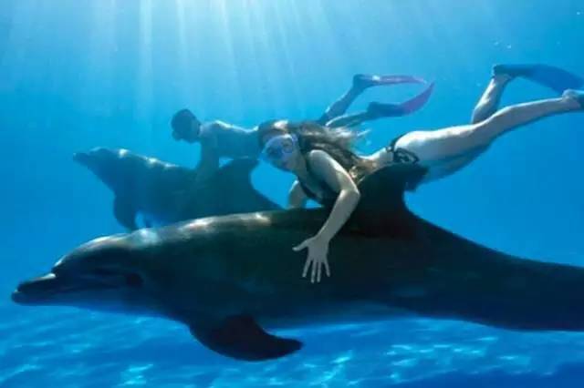 还在看脸？这个融资千万的App正在挖Facebook墙脚