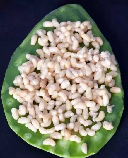 那些让你没胃口的食物,没胃口就别吃四个菜