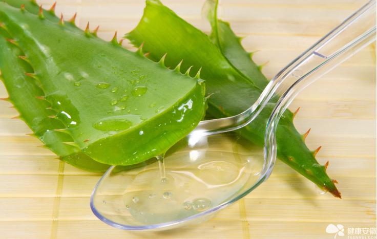 多肉植物怎么种才好看,如何种多肉植物才好看