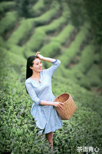 世界旅游小姐新疆,世界旅游小姐新疆赛区