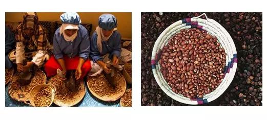 精油推荐洛带斯摩洛哥,摩洛哥纯天然精油