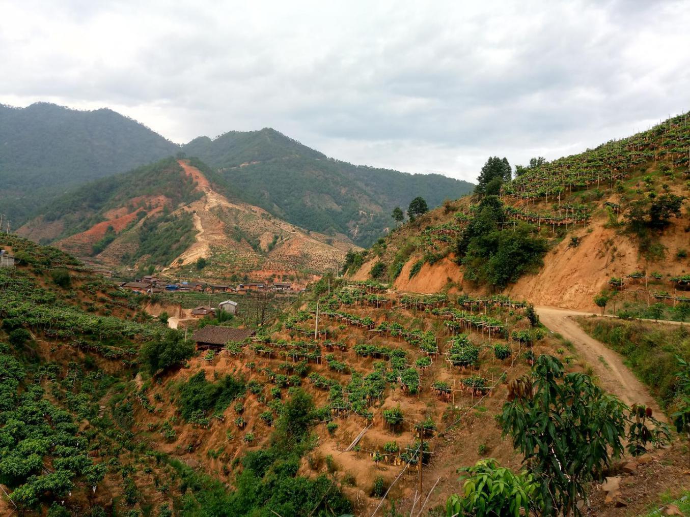 攀枝花最好吃的料理,攀枝花料理
