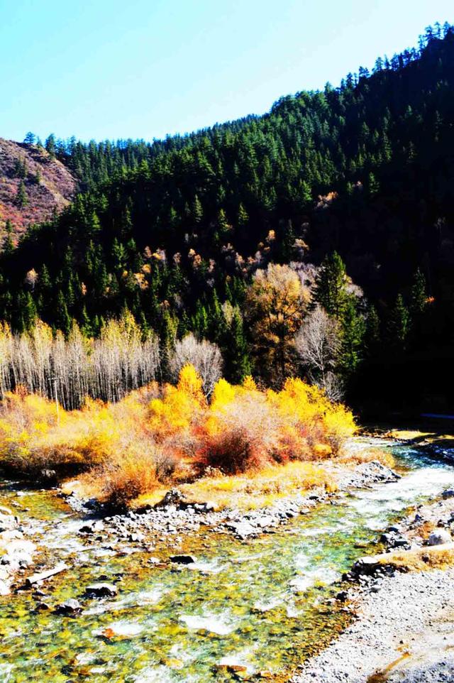 北山林场公园,北山森林植物园