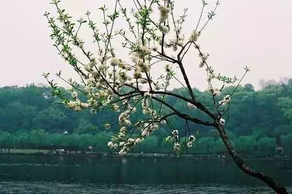 自强不息是哪所大学的校训,厚德尚学自强不息是哪个大学校训