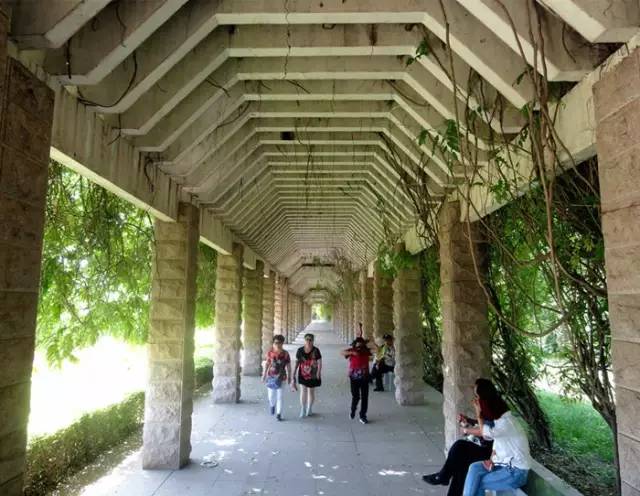 黄河小浪底观瀑节最详尽的吃喝玩乐攻略！错过再等明年！